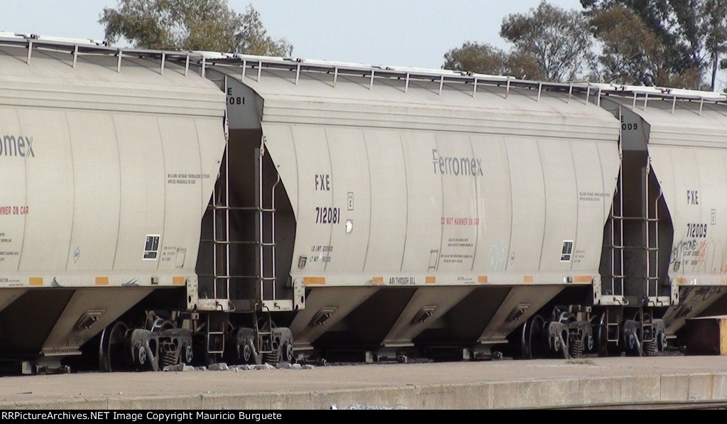 Ferromex covered hoppers