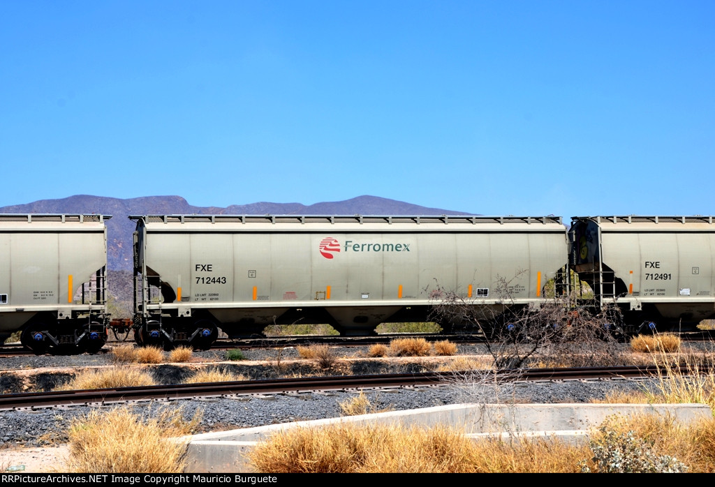 FXE Covered Hopper with new logo