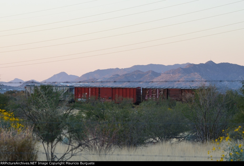 FXE Box Cars in the desert