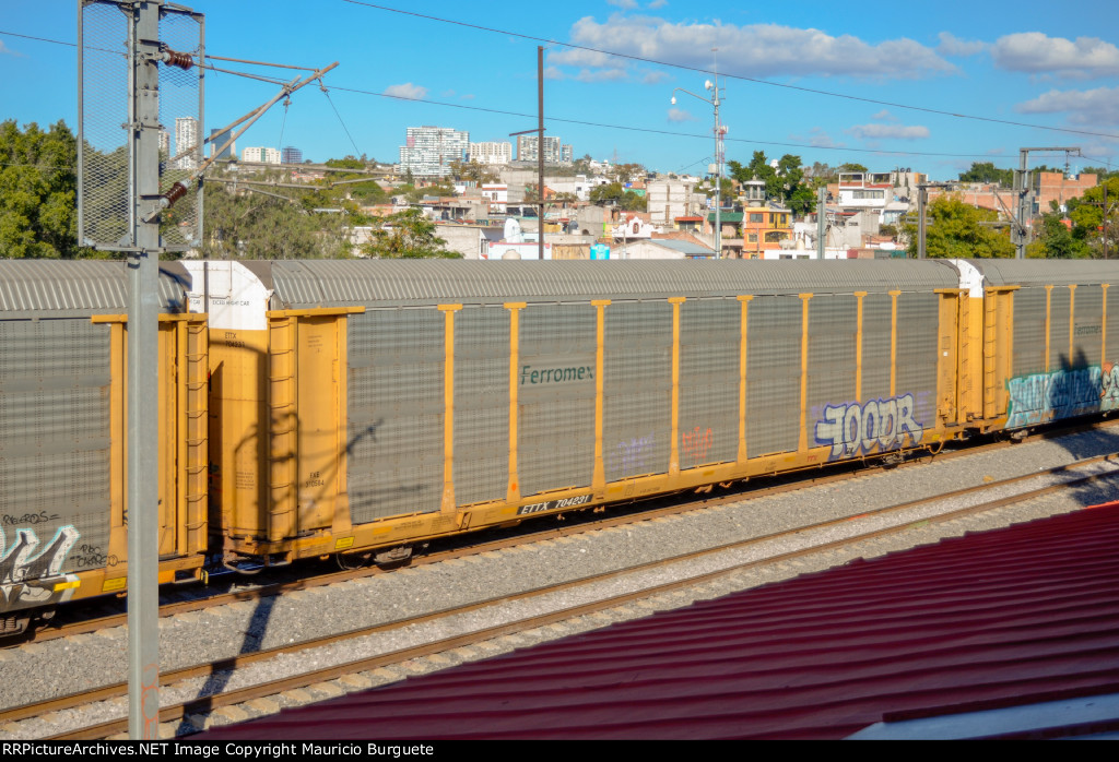 ETTX Ferromex Autorack