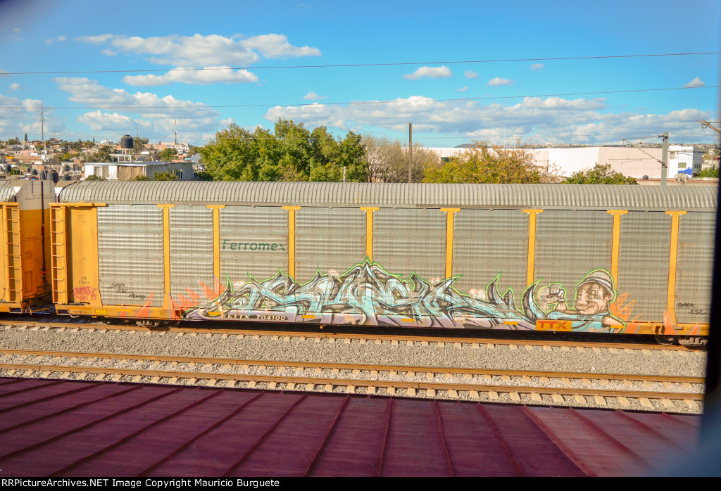 ETTX Ferromex Autorack