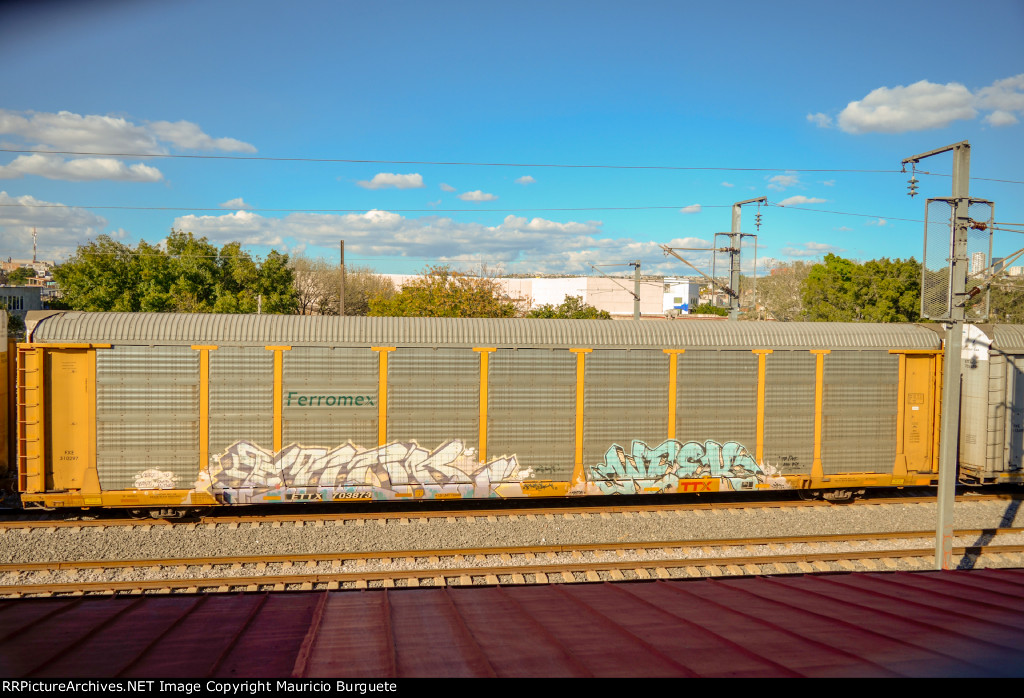 ETTX Ferromex Autorack