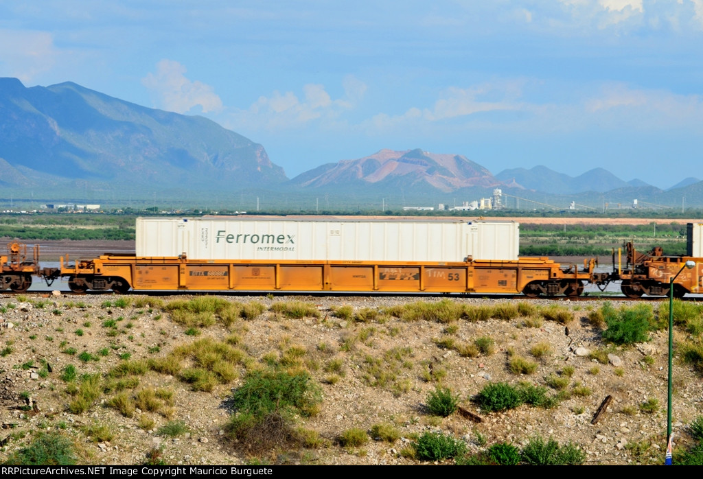 DTTX Stack car with Ferromex container