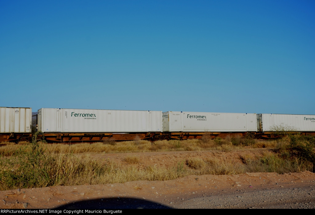 TTAX Spine Car with Ferromex containers