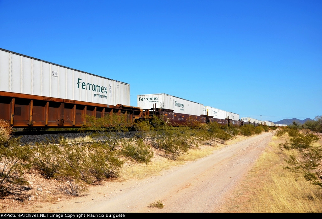 Ferromex intermodal containers near Grupo Mexico facilities