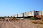 TTRX Spine Car with Ferromex Containers
