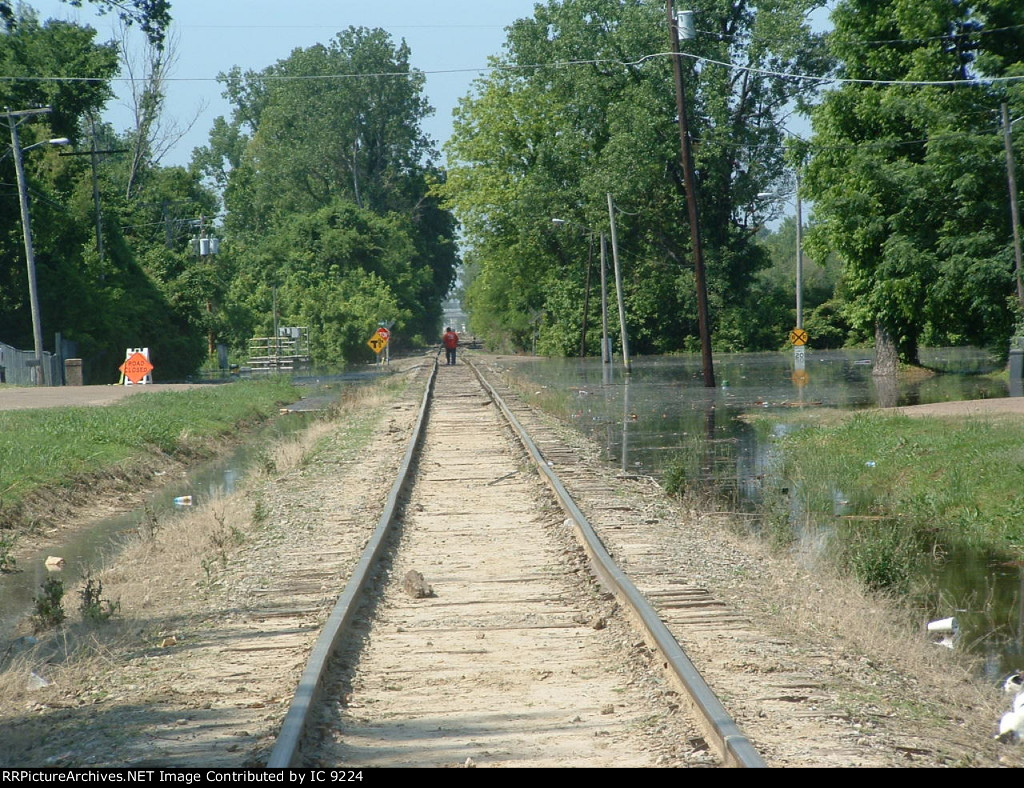 Looking south at Kings, Mississippi