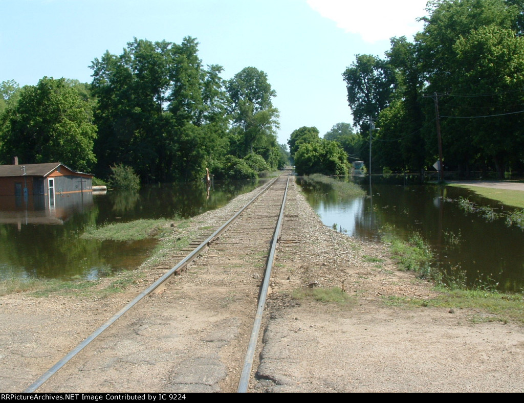 Looking north at Chickasaw Road