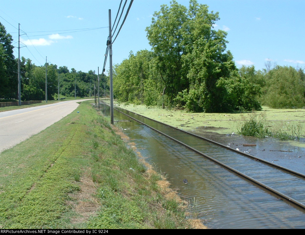 Just south of MP 218 looking south