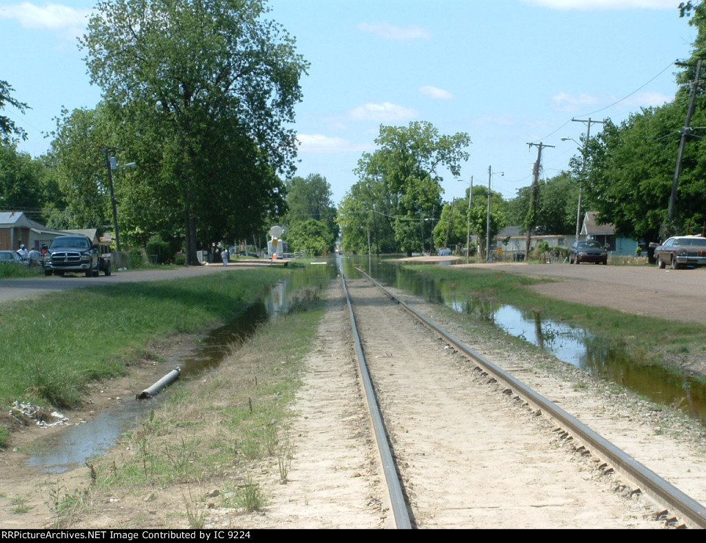 Looking south at Kings, Mississippi