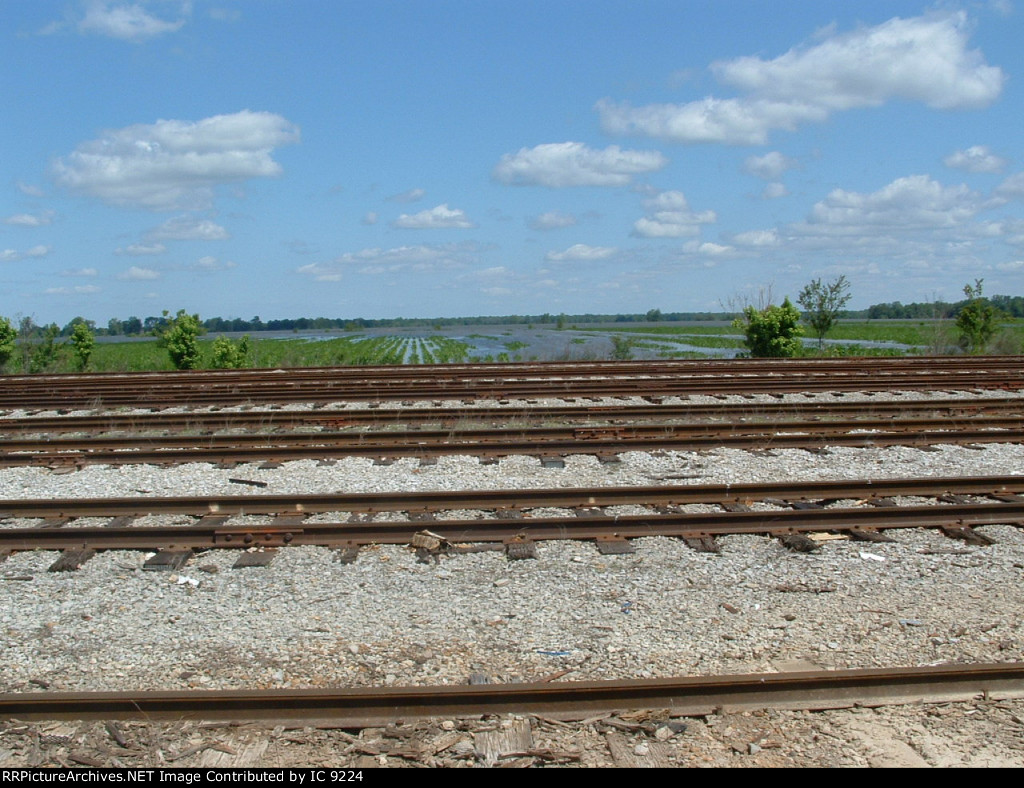 Water approaching Ballground yard