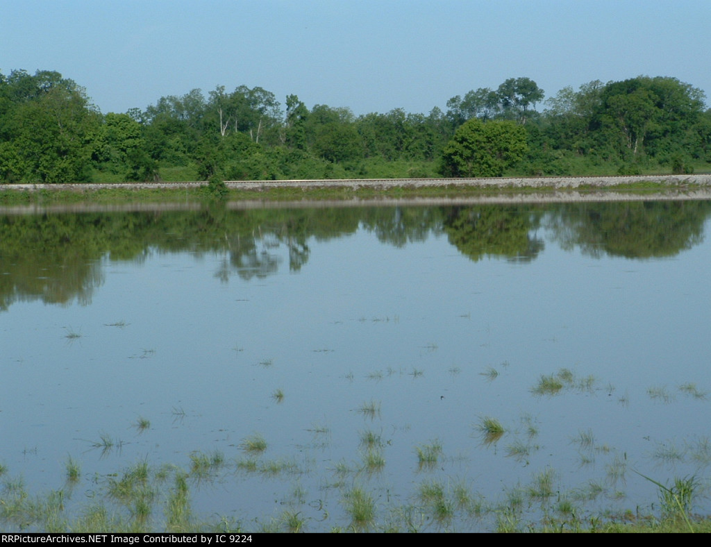 Water over cornfield beside Redwood Jct