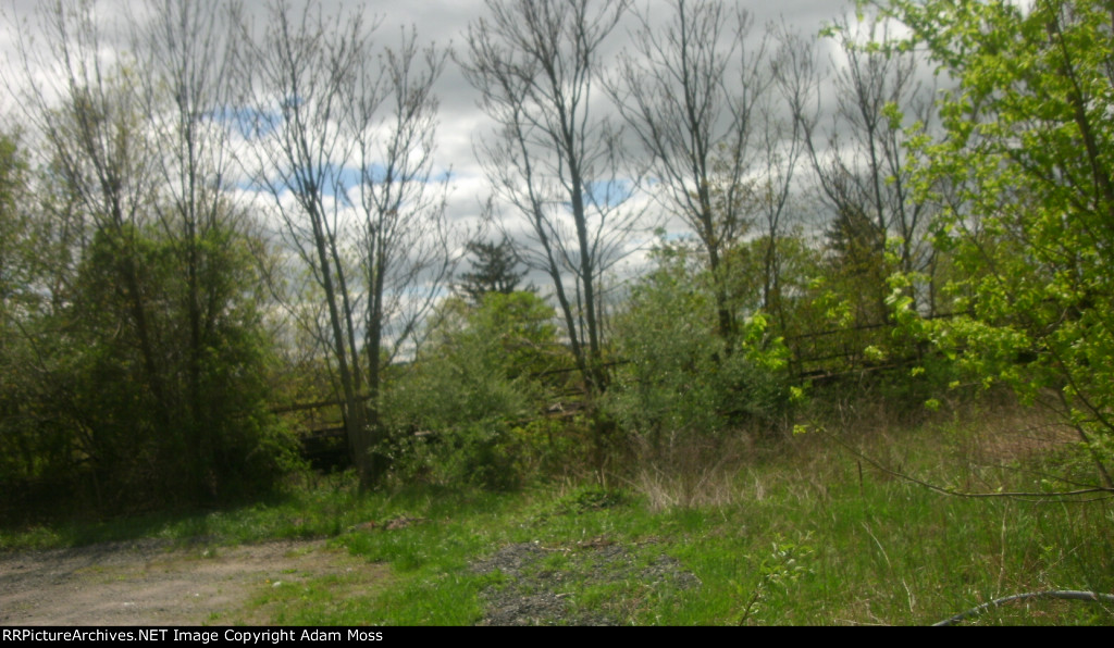 The Bridge Rots Away