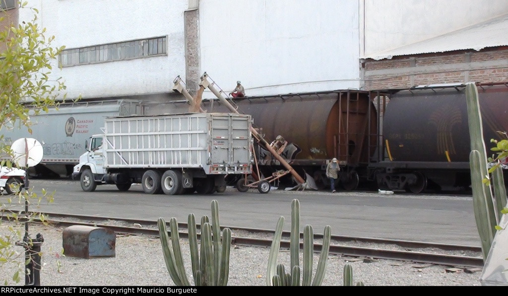 Grain bulkhead dry transfer