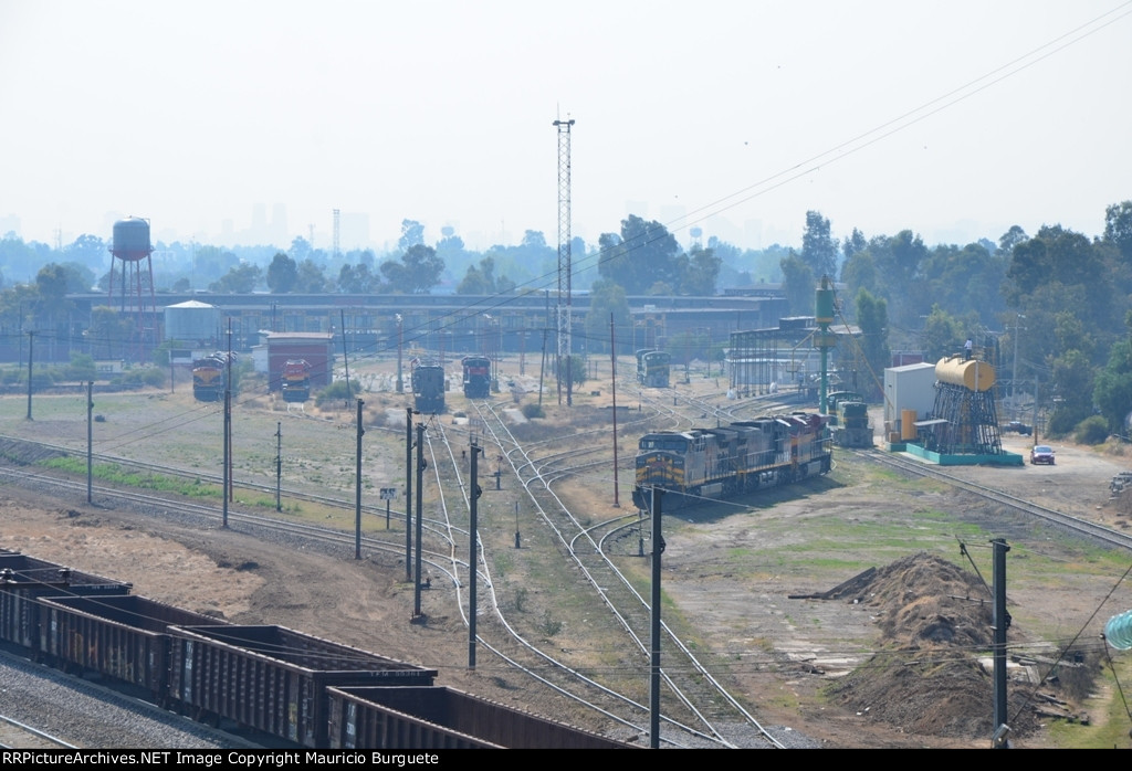 Valle de Mexico Locomotive Terminal