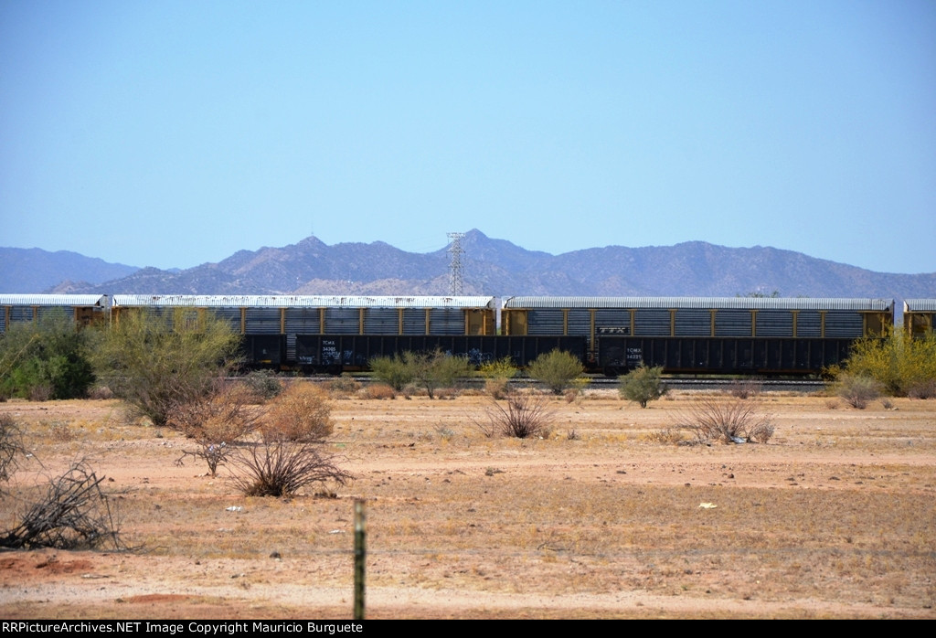 TCMX & FXE Gondolas at Hermosillo's Industrial yard