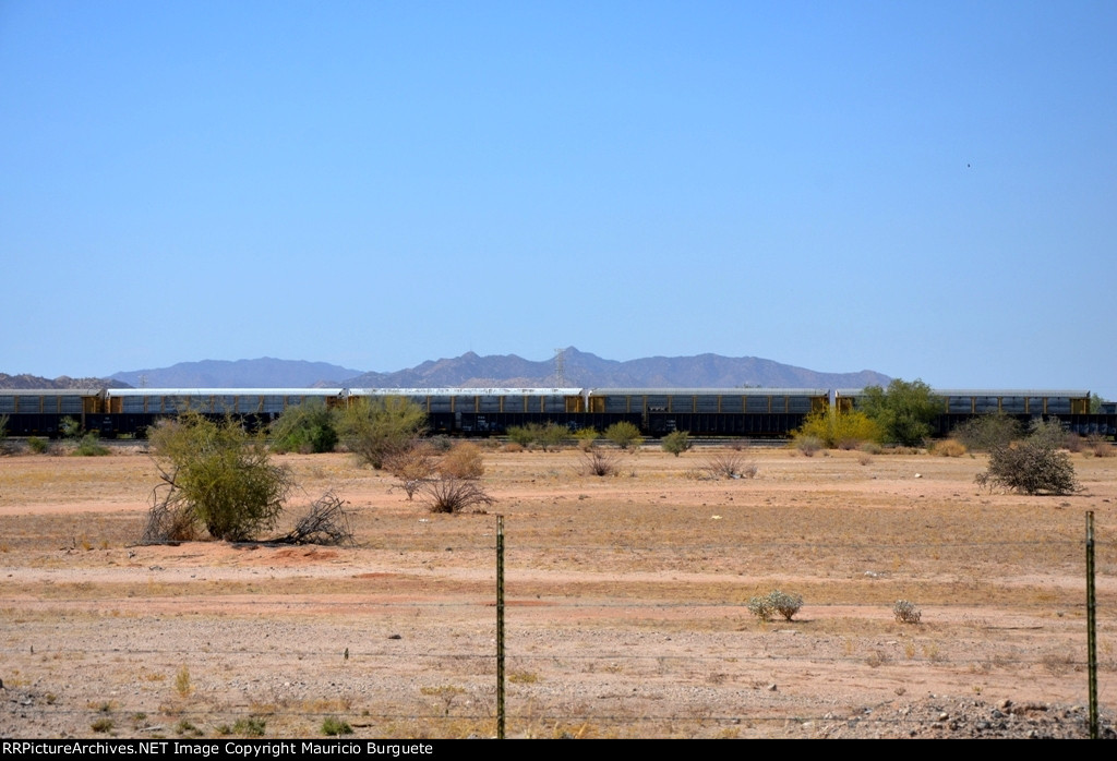 TCMX & FXE Gondolas at Hermosillo's Industrial yard