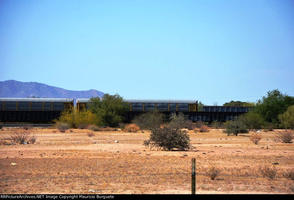Gondolas and Autoracks at Hermosillo's Industrial yard