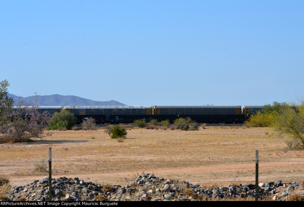 Gondolas and Autoracks at Hermosillo's Industrial yard