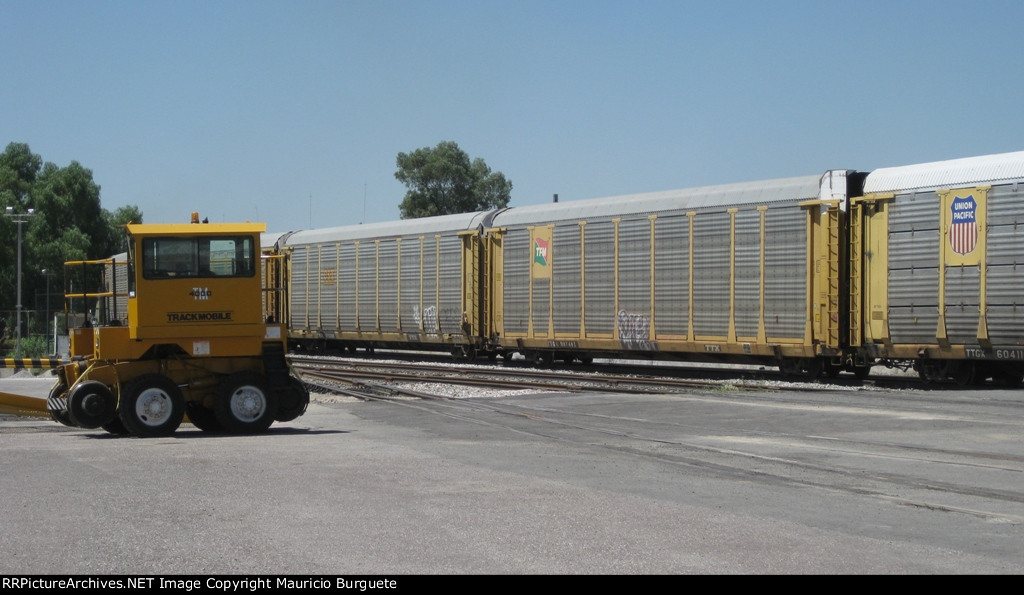 Autoracks at Distribution Center