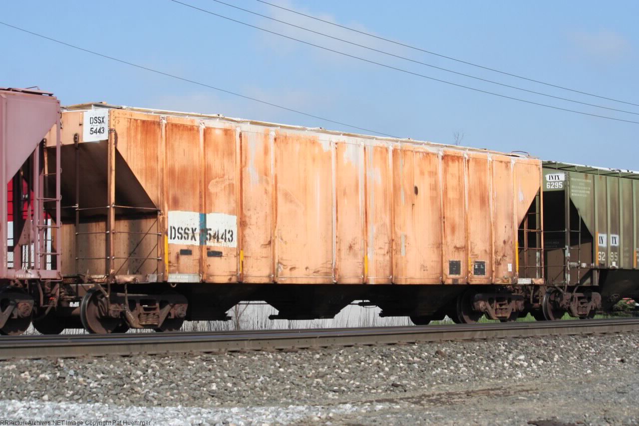 DSSX 5443