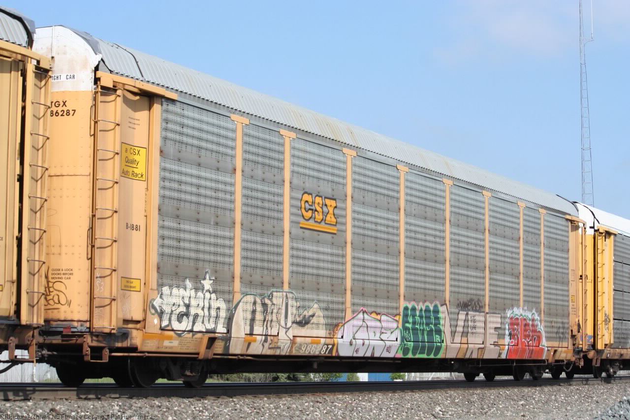 TTGX 986287