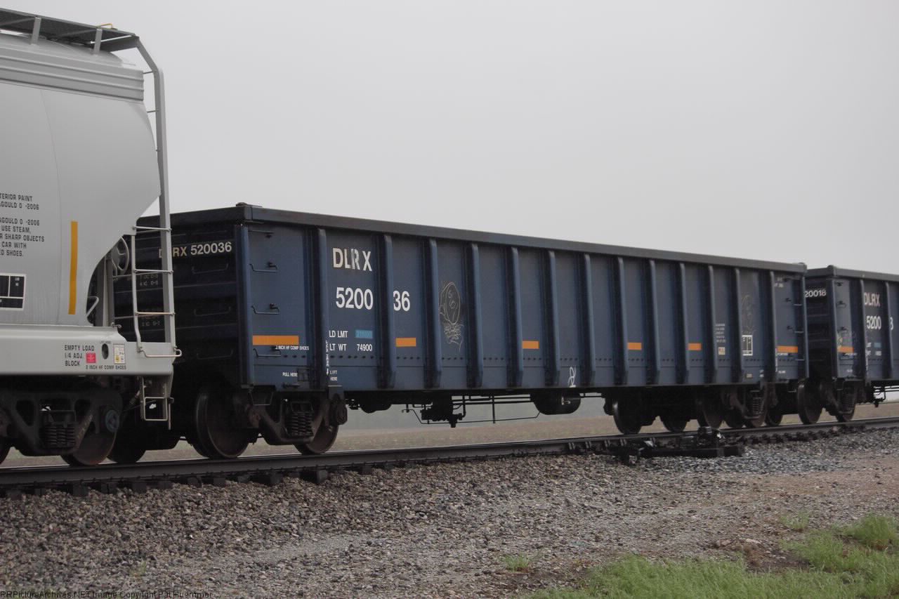 DLRX 520036