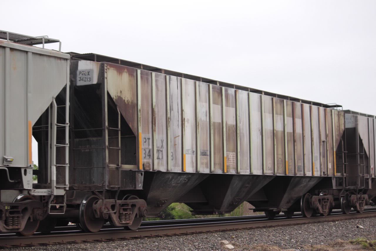 PTLX 34213