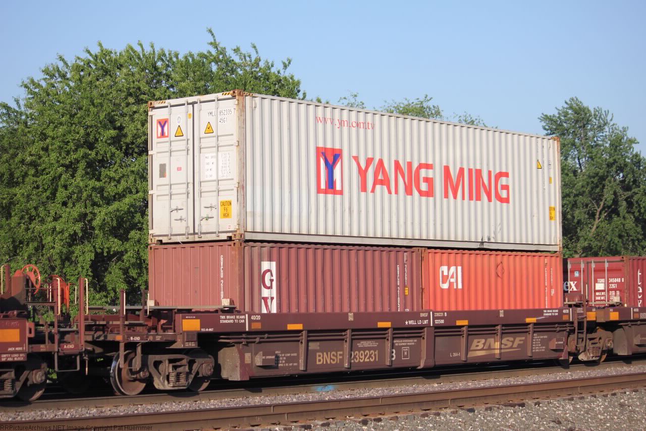 BNSF 239231