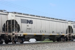 NS 294897