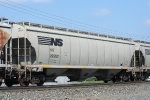 NS 295087
