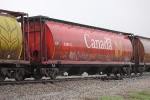 CP 608163