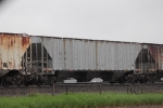 GLCX 8104