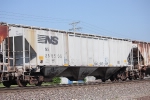 NS 255505