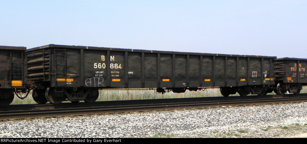 BN 560884