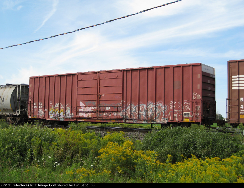 CIBX 150495