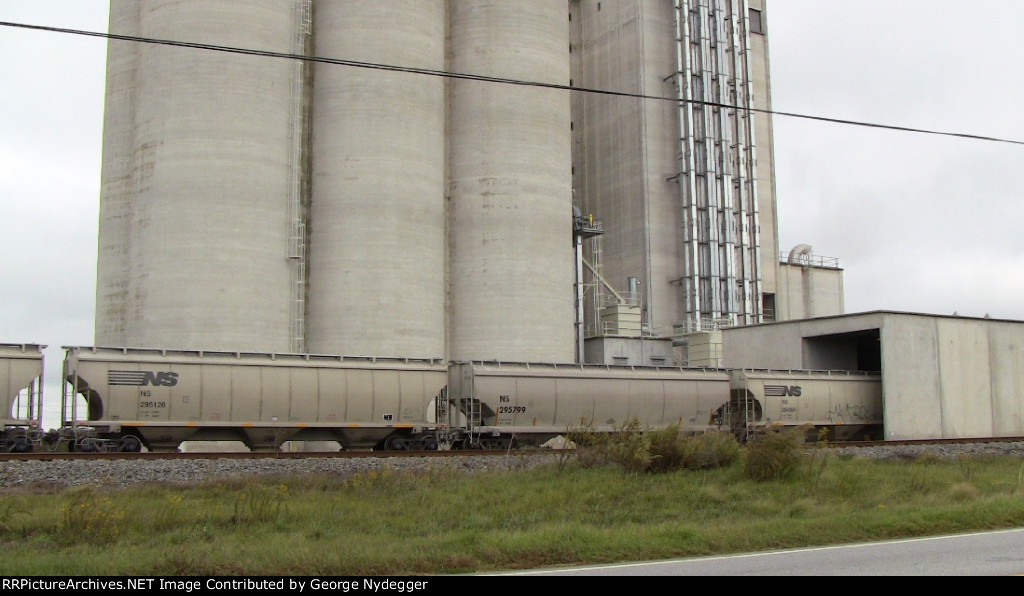 NS: Grain train 