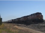BNSF 4434 WEST