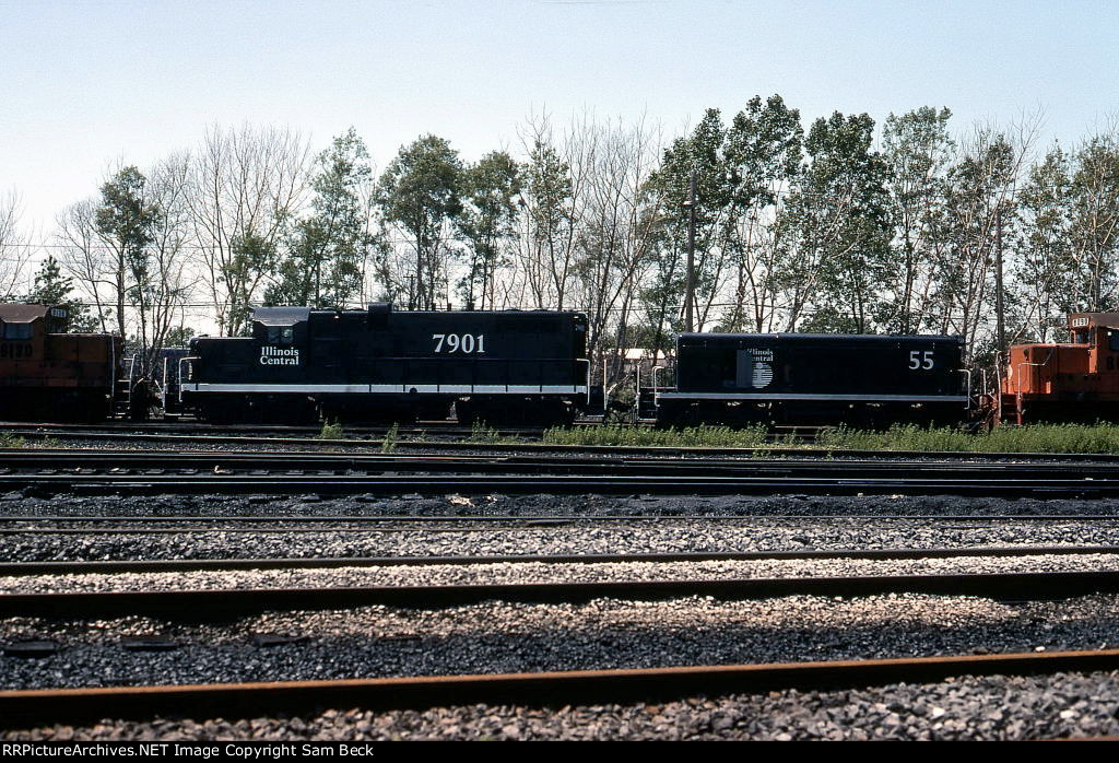 IC 7901 and 55