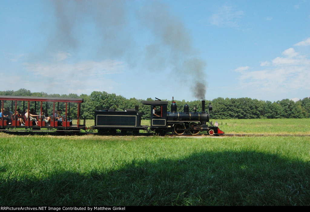 Blue Goose rolling through the Field