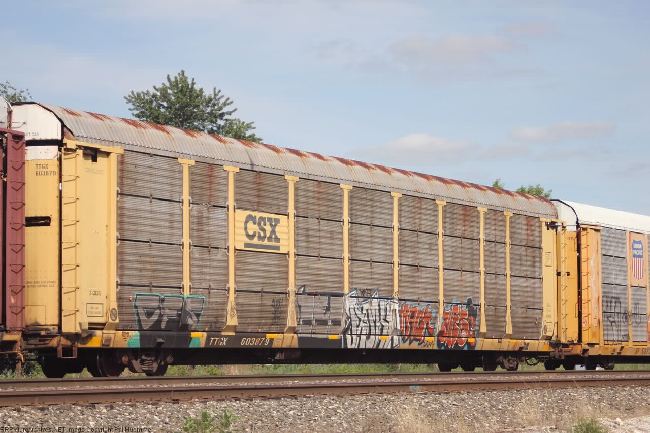 TTGX 603879