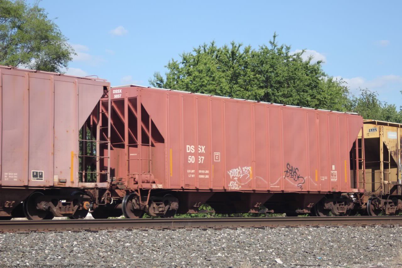 DSSX 5037