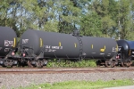 TILX 194755