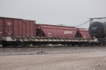 TZPR 300031