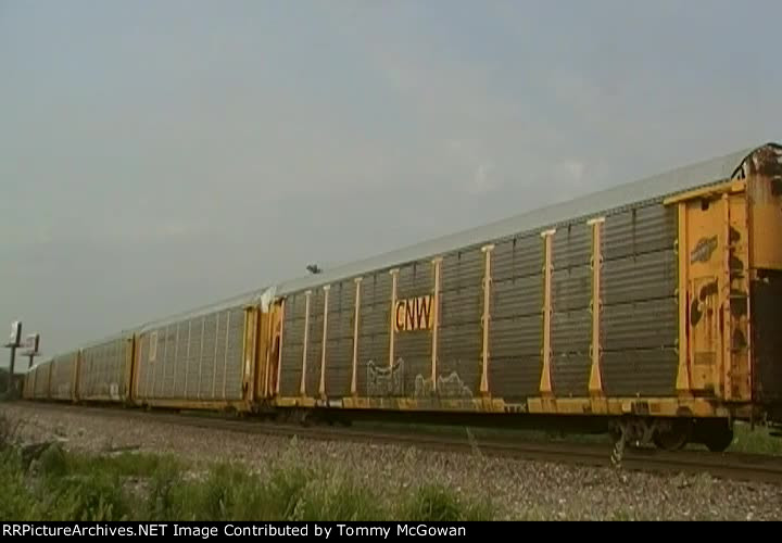 TTGX 981102