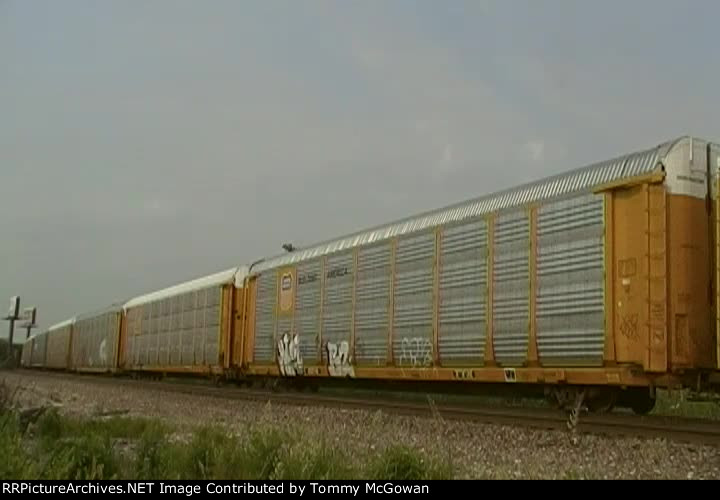 TTGX 253748