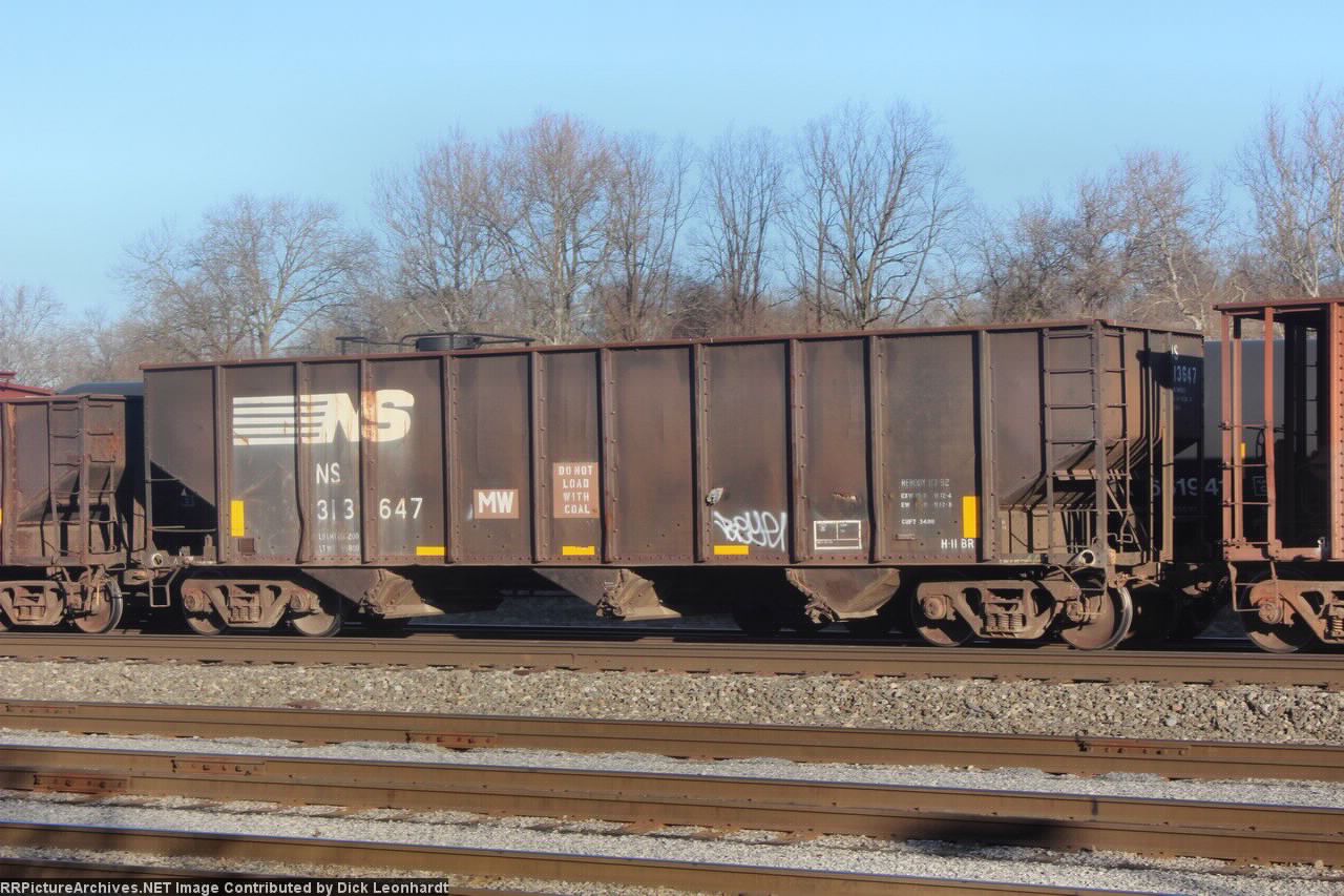 NS 313647