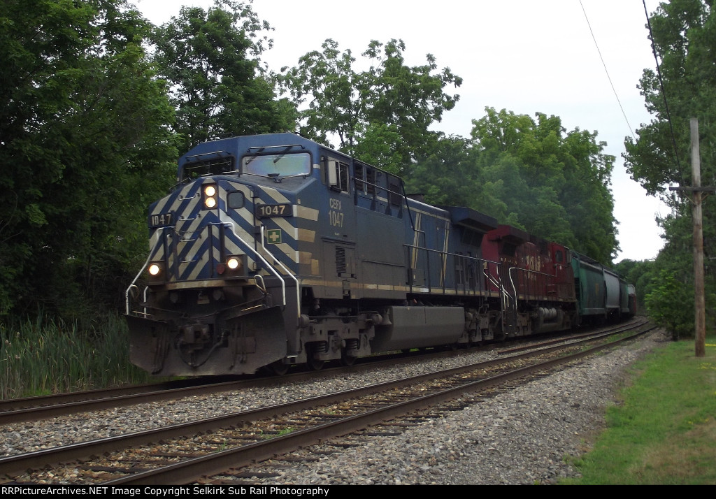 CP 252 With a CEFX Leader