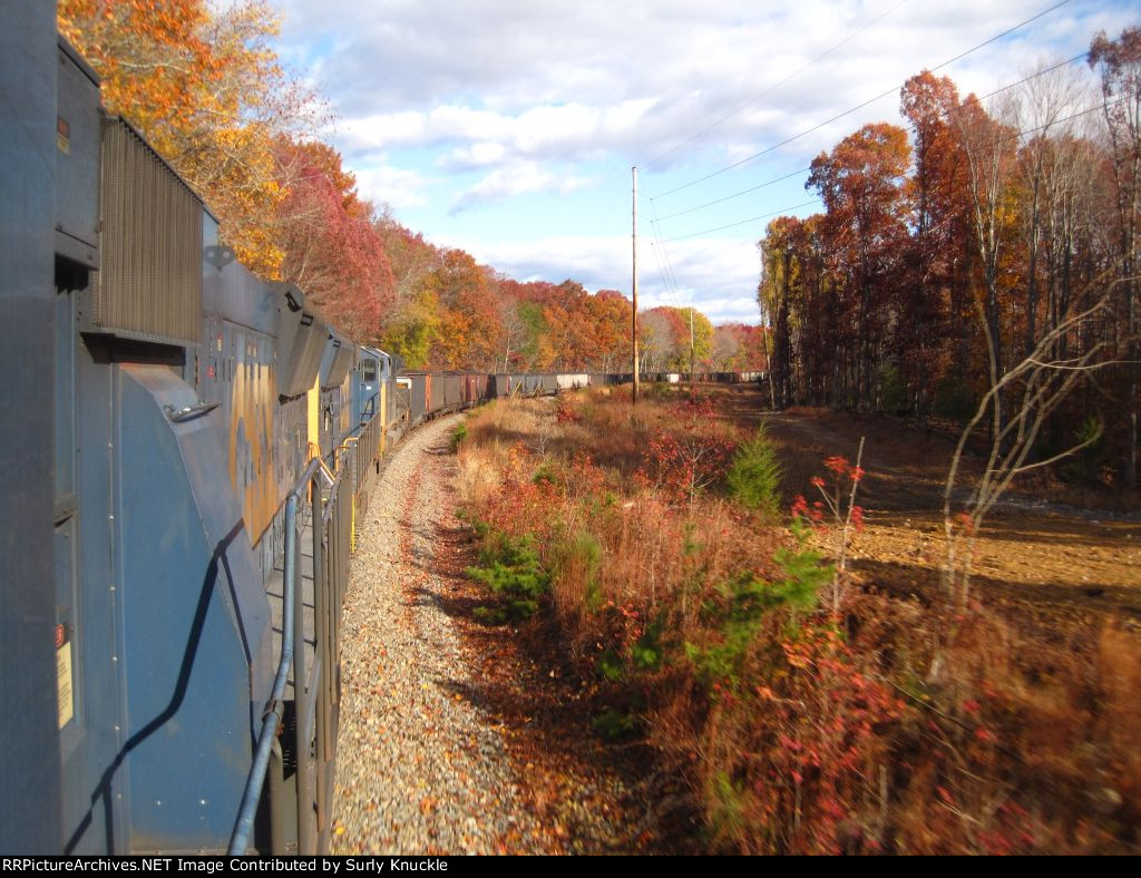 Looking back on the colors