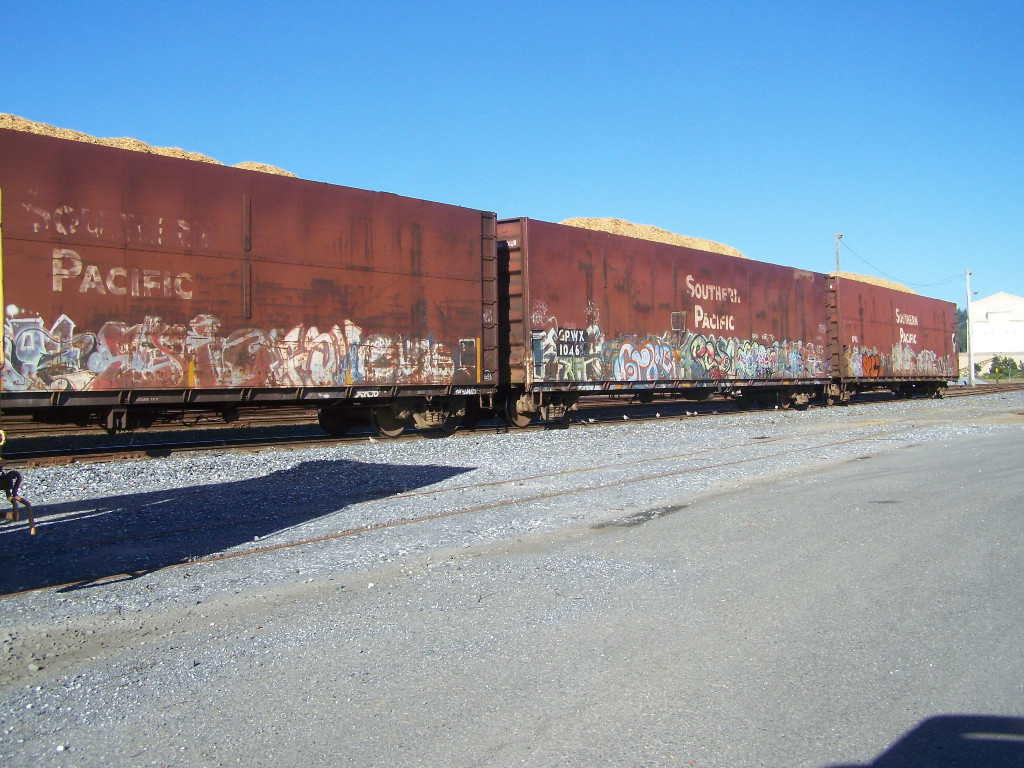 End Of A Large Unit Cut of ex-SP Woodchipers